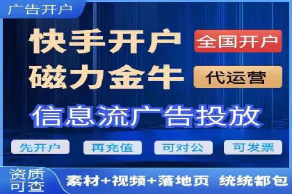 某电商平台的SEM投放全流程案例